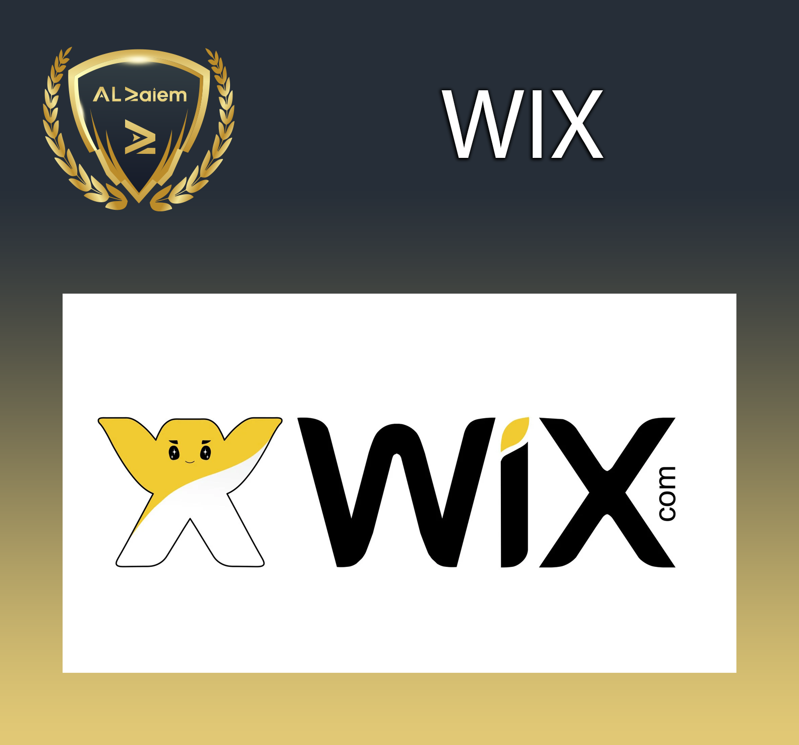 17 Wix